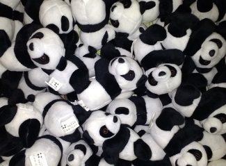 Pandas