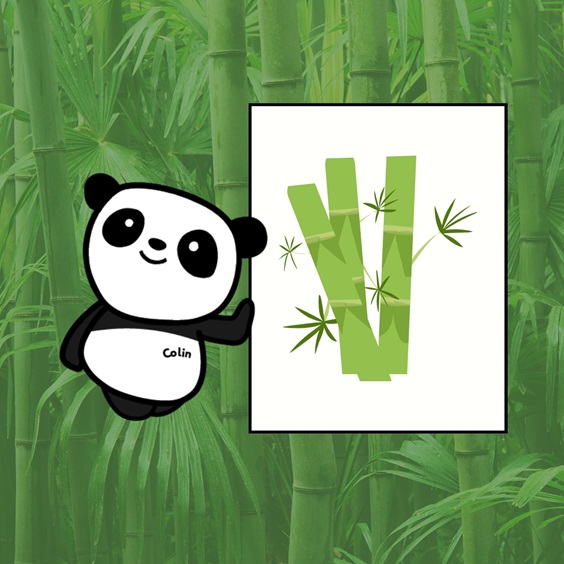 Cheeky Panda Answers Your Questions