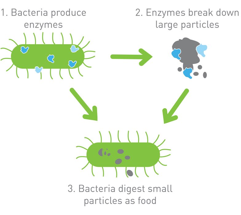 Greenspeed PROBIO Cleaning Products (Section 1)