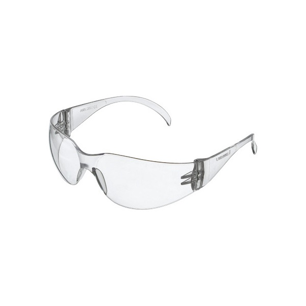 Click for a bigger picture.xx Safety Spectacles Clear Lens